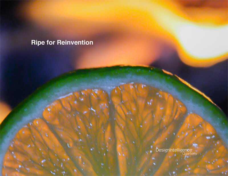 Ripe for Reinvention by Scott Simpson