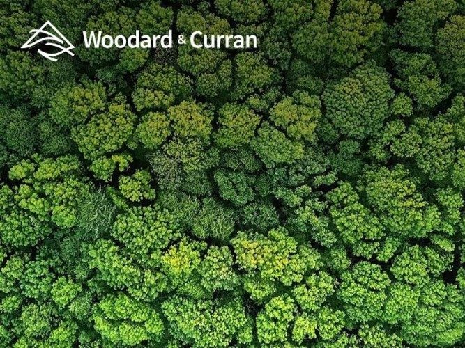 Woodard &amp; Curran 2021 Sustainability Reporting updates